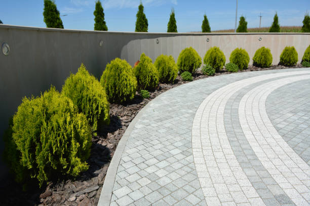 Reasons to Select Us for Your Driveway Paving Requirements in Downers Grove, IL